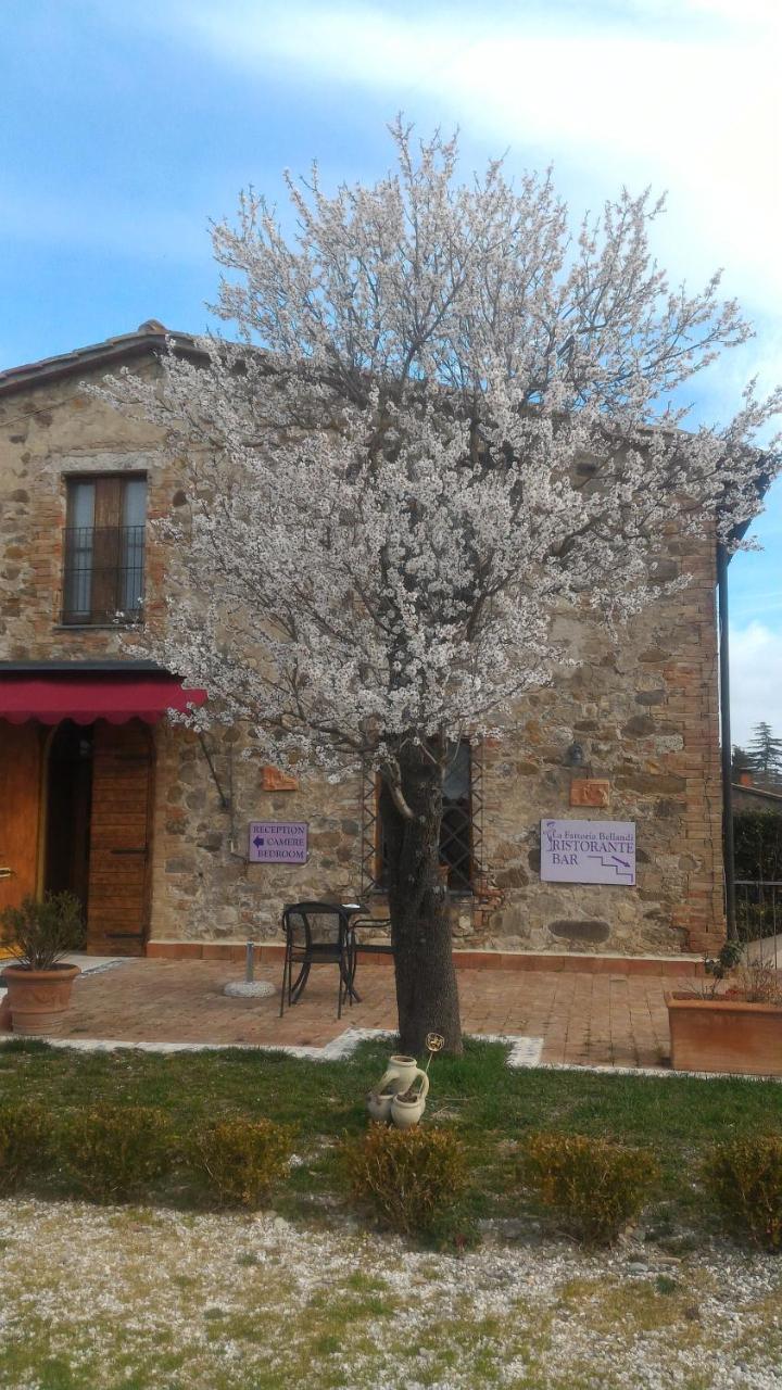 Country House La Fattoria Bellandi Contignano Экстерьер фото